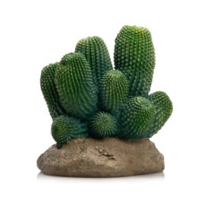 CACTUS - 12X12X13CM CACTUS - 12X12X13CM